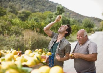 Men squashing oranges