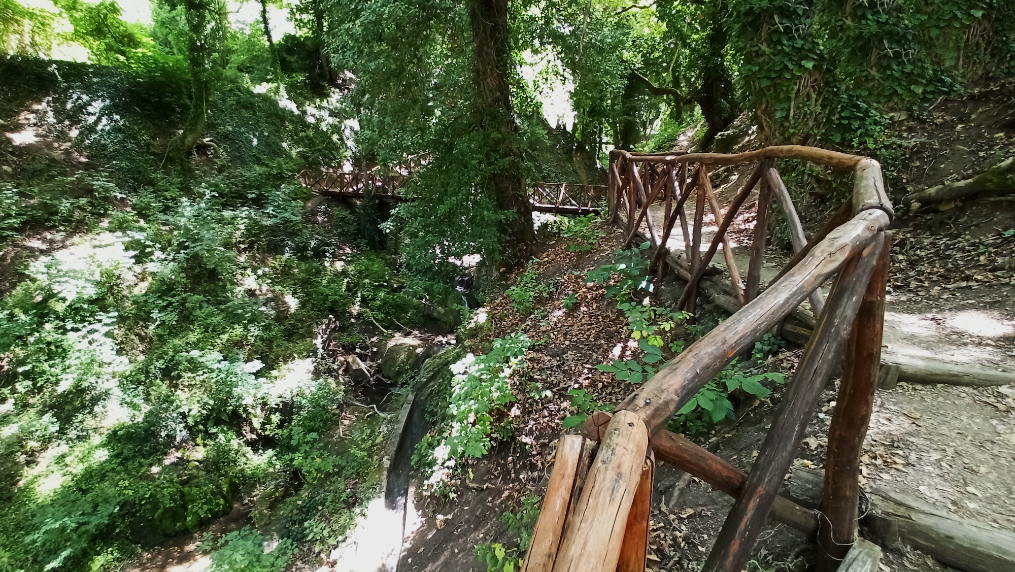 Wooden path in the forest in Megalo Chorio village Karpenisi Greece