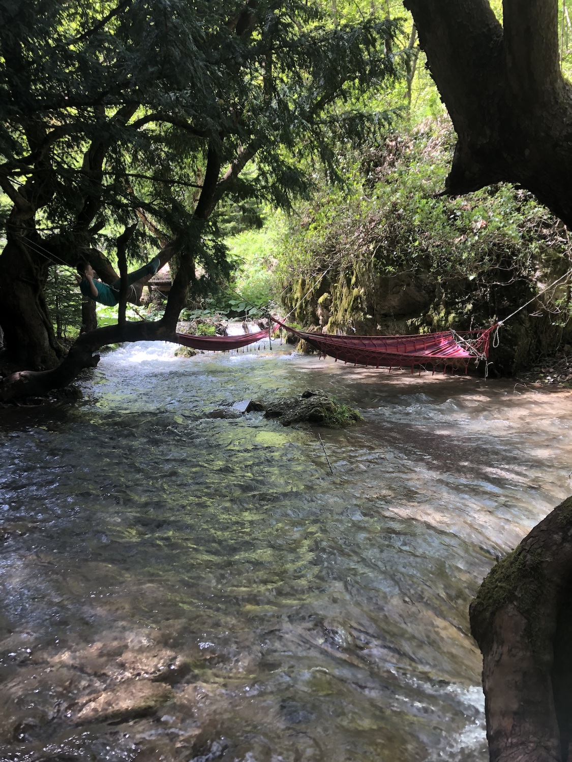 Hammocks strung between trees above a flowing stream