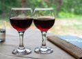Xinomavro: Red greek wine