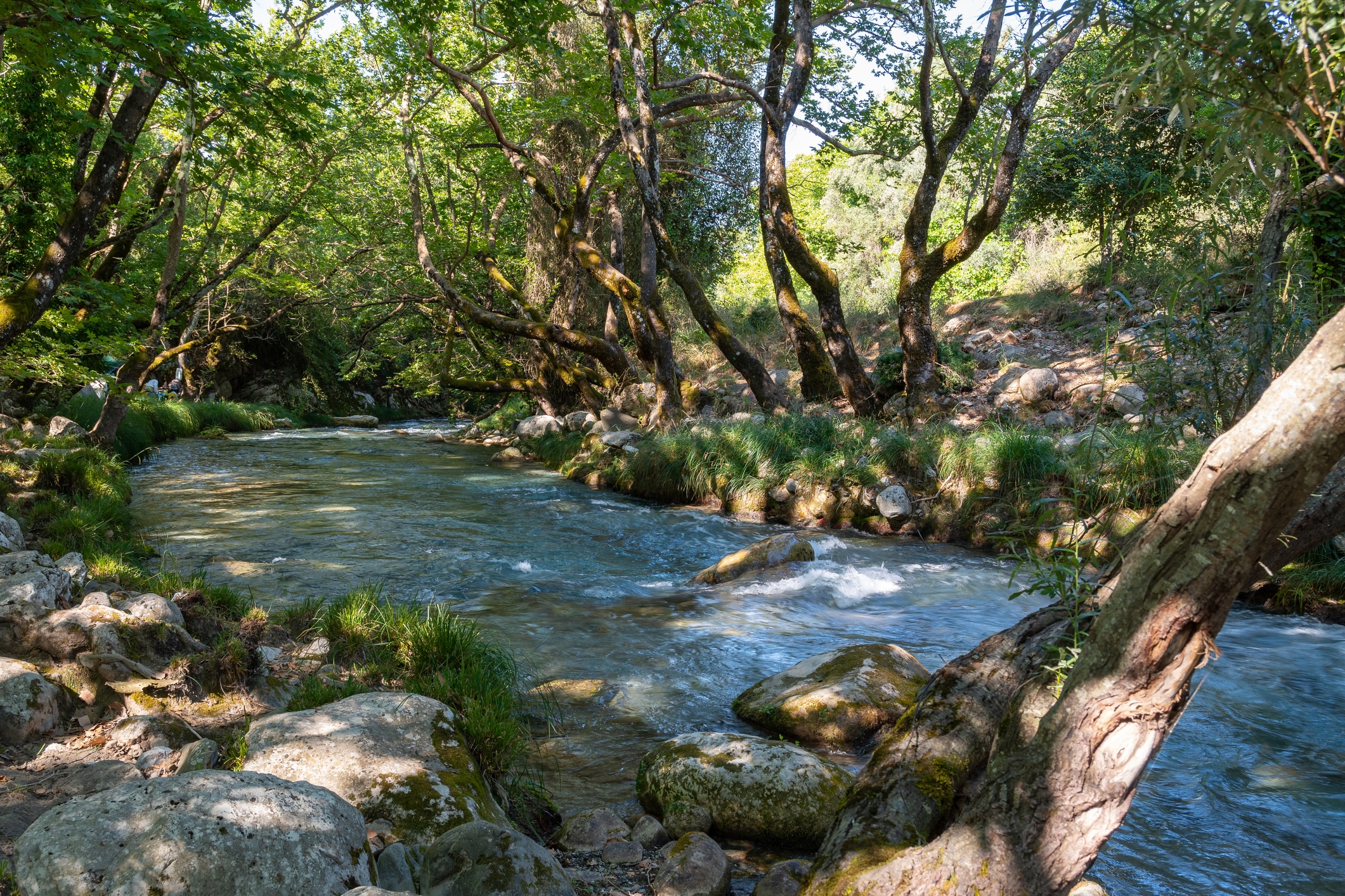 Lousios river in Arcadia