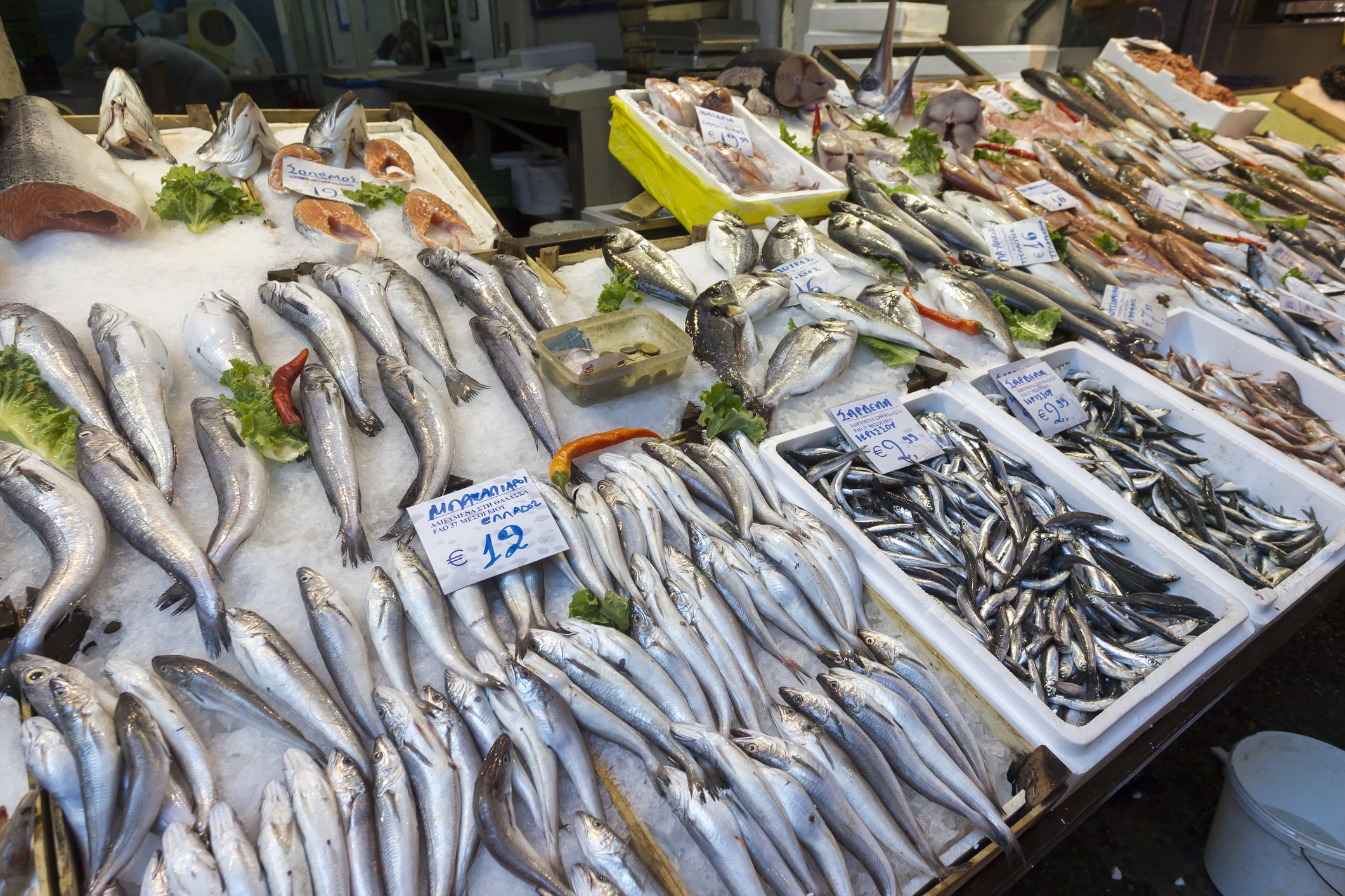 Fish stall in Greek market