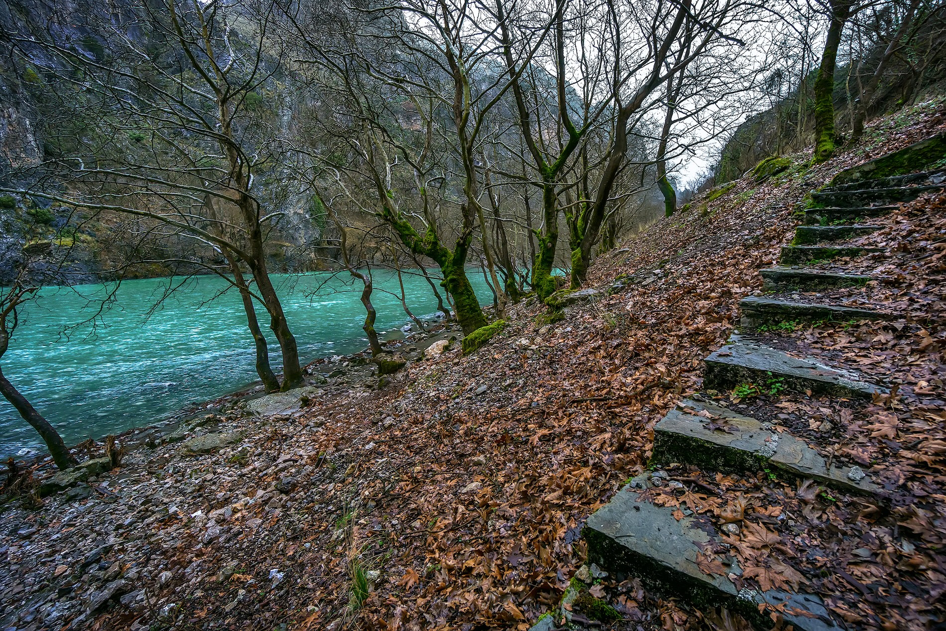 Riverside from Aoos river